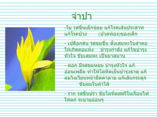 จำปา ใบ รสขื่นเล็กน้อย แก้โรคเส้นประสาท  แก้โรคป่วง  ( ปวดท้อง ) ของเด็ก เปลือกต้น รสขมขื่น ตั้งเสมหะในลำคอให้เกิดคอแห้ง  บำรุงกำลัง แก้ไขบำรุงหัวใจ ขับเสมหะ เป็นยาสมาน ดอก มีรสขมหอม บำรุงหัวใจ แก้อ่อนเพลีย ทำให้โลหิตเย็นบำรุงธาตุ แก้ลมวิงเวียนหน้ามืดตาลาย แก้เส้นกระตุก  ขับลมในลำไส้ ราก รสขื่นปร่า ขับโลหิตสตรีในเรือนไฟให้ตก ระบายอ่อนๆ 