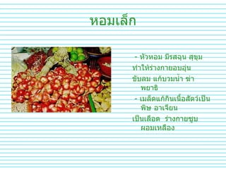 หอมเล็ก -  หัวหอม   มีรสฉุน   สุขุม   ทำให้ร่างกายอบอุ่น   ขับลม   แก้บวมน้ำ   ฆ่าพยาธิ   -  เมล็ดแก้กินเนื้อสัตว์เป็นพิษ   อาเจียน เป็นเลือด  ร่างกายซูบผอมเหลือง   