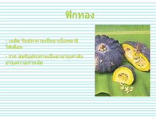 ฟักทอง เมล็ด รับประทานเป็นยาเบื่อพยาธิไส้เดือน ราก ต้มรับประทานเป็นยาบำรุงกำลัง  บำรุงความกำหนัด 