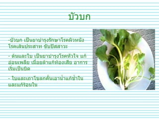 บัวบก บัวบก เป็นยาบำรุงรักษาโรคผิวหนัง โรคเส้นประสาท ขับปัสสาวะ  ต้นและใบ เป็นยาบำรุงโรคหัวใจ แก้อ่อนเพลีย เมื่อยล้าแก้ท้องเสีย อาการเริ่มเป็นบิด ใบและเถาโขลกคั้นเอาน้ำแก้ช้ำในและแก้ร้อนใน 