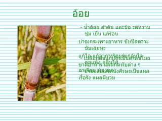 อ้อย -  น้ำอ้อย   ลำต้น   และข้อ   รสหวานชุ่ม   เย็น   แก้ร้อน   บำรุงกระเพาะอาหาร   ขับปัสสาวะ   ขับเสมหะ   แก้ไอ   แก้อาการร้อนรุ่มกลุ้มใจ   คอแห้ง   คลื่นไส้   อาเจียน   ท้องผูก   -  เปลือกต้นแก้เด็กเป็นตาลขโมย   ขาดอาหาร   แผลกดทับต่าง   ๆ     -  ชานอ้อยแก้หนังศีรษะเป็นแผลเรื้อรัง   แผลฝีบวม 