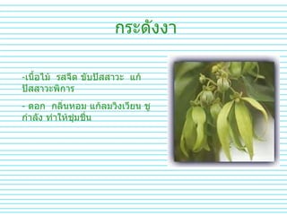 กระดังงา เนื้อไม้  รสจืด ขับปัสสาวะ  แก้ปัสสาวะพิการ ดอก  กลิ่นหอม แก้ลมวิงเวียน ชูกำลัง ทำให้ชุ่มชื่น 