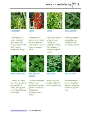 www.natureherbs.org 2012




Lemongrass                Lobelia                  Lovage                  Mint 'Chocolate'



Lemongrass is a           The brilliant red        Possessing a flavor     This herb can best
potent medicinal          blooms of this variety   similar to celery,      be described as
herb, a light and         are a huge hit with      Lovage is a             peppermint with
flavorful culinary herb   hummingbirds and it      wonderful culinary      chocolate overtones.
AND it keeps              grows nicely near        herb popular in
mosquitoes at bay!        water!                   Eastern European
                                                   cuisine.




Mint 'Citrus Kitchen'     Mint 'Kentucky           Mint 'Mojito'           Mint 'Mountain'
                          Colonel'

This mint is a ‘must      Unusual curly leaves     A real mojito can       This herb has the
have’ for any culinary    that are very            only be made with       strong minty scent
herb garden. A            attractive in the herb   the true Mojito Mint!   without the invasive
strong and vigorous       garden. Famous as                                runners of regular
plant with a delicious    an essential                                     mint.
citrus flavor.            ingredient in mint
                          juleps.




natureherbs@ymail.com | +91 841 888 5555
 