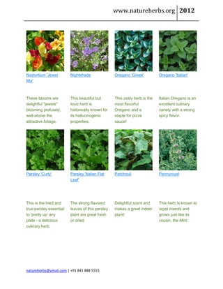 www.natureherbs.org 2012




Nasturtium 'Jewel        Nightshade               Oregano 'Greek'          Oregano 'Italian'
Mix'



These blooms are         This beautiful but       This zesty herb is the   Italian Oregano is an
delightful "jewels"      toxic herb is            most flavorful           excellent culinary
blooming profusely,      historically known for   Oregano and a            variety with a strong
well-above the           its hallucinogenic       staple for pizza         spicy flavor.
attractive foliage.      properties.              sauce!




Parsley 'Curly'          Parsley 'Italian Flat    Patchouli                Pennyroyal
                         Leaf'




This is the tried and    The strong flavored      Delightful scent and     This herb is known to
true parsley essential   leaves of this parsley   makes a great indoor     repel insects and
to 'pretty up' any       plant are great fresh    plant!                   grows just like its
plate - a delicious      or dried.                                         cousin, the Mint.
culinary herb.




natureherbs@ymail.com | +91 841 888 5555
 