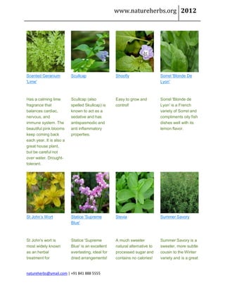 www.natureherbs.org 2012




Scented Geranium          Scullcap                 Shoofly                  Sorrel 'Blonde De
'Lime'                                                                      Lyon'



Has a calming lime        Scullcap (also           Easy to grow and         Sorrel 'Blonde de
fragrance that            spelled Skullcap) is     control!                 Lyon' is a French
balances cardiac,         known to act as a                                 variety of Sorrel and
nervous, and              sedative and has                                  compliments oily fish
immune system. The        antispasmodic and                                 dishes well with its
beautiful pink blooms     anti inflammatory                                 lemon flavor.
keep coming back          properties.
each year. It is also a
great house plant,
but be careful not
over water. Drought-
tolerant.




St John’s Wort            Statice 'Supreme         Stevia                   Summer Savory
                          Blue'



St John's wort is         Statice 'Supreme         A much sweeter           Summer Savory is a
most widely known         Blue' is an excellent    natural alternative to   sweeter, more subtle
as an herbal              everlasting, ideal for   processed sugar and      cousin to the Winter
treatment for             dried arrangements!      contains no calories!    variety and is a great


natureherbs@ymail.com | +91 841 888 5555
 