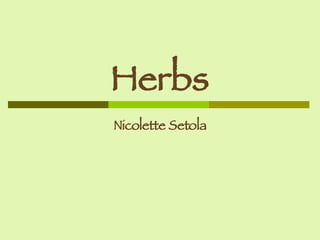 Herbs Nicolette Setola 