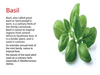 THE HERBS AND SPICES AND ITS FLAVOR ON DISHES.pptx