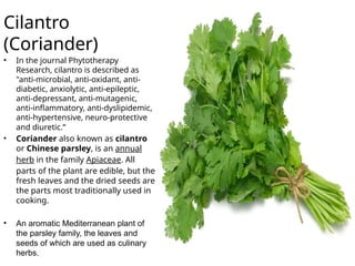 THE HERBS AND SPICES AND ITS FLAVOR ON DISHES.pptx