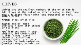 Herbs and Spices and its classifications | PPTX