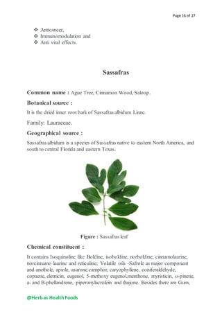 Herbs as health foods | DOCX
