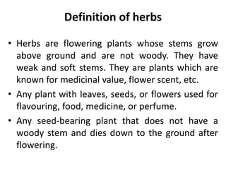 HERBAL DEFINITION MEANING visual data 6