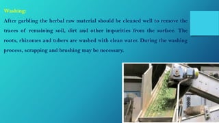 Washing:
After garbling the herbal raw material should be cleaned well to remove the
traces of remaining soil, dirt and other impurities from the surface. The
roots, rhizomes and tubers are washed with clean water. During the washing
process, scrapping and brushing may be necessary.
 