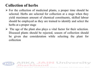 Collection of herbs
 For the collection of medicinal plants, a proper time should be
selected. Herbs are selected for collection at a stage when they
yield maximum amount of chemical constituents, skilled labour
should be employed as they are trained to identify and select the
herbs at a proper stage
 The age of the plant also plays a vital factor for their selection.
Diseased plants should be rejected, season of collection should
be given due consideration while selecting the plant for
collection
 