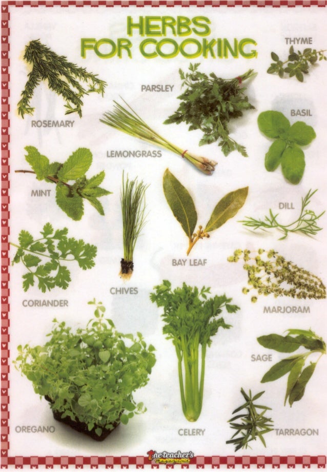Herbs for cooking