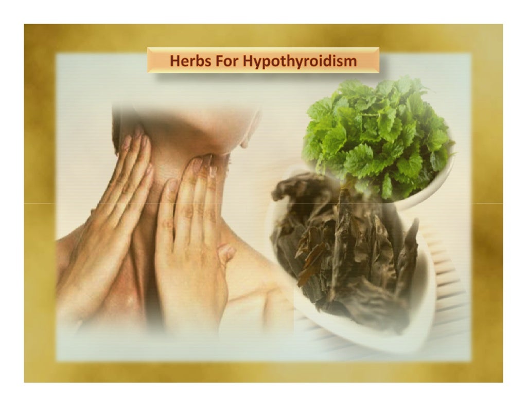 Herbs for hypothyroidism