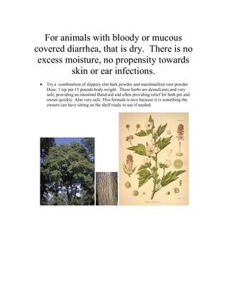 For animals with bloody or mucous
covered diarrhea, that is dry. There is no
 excess moisture, no propensity towards
          skin or ear infections.
   Try a combination of slippery elm bark powder and marshmallow root powder.
   Dose: 1 tsp per 15 pounds body weight. These herbs are demulcents and very
   safe, providing an intestinal Band-aid and often providing relief for both pet and
   owner quickly. Also very safe. This formula is nice because it is something the
   owners can have sitting on the shelf ready to use if needed.
 