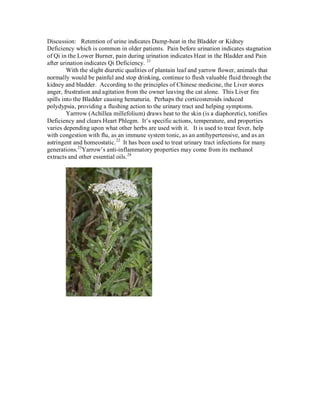 Discussion: Retention of urine indicates Damp-heat in the Bladder or Kidney
Deficiency which is common in older patients. Pain before urination indicates stagnation
of Qi in the Lower Burner, pain during urination indicates Heat in the Bladder and Pain
after urination indicates Qi Deficiency. 21
         With the slight diuretic qualities of plantain leaf and yarrow flower, animals that
normally would be painful and stop drinking, continue to flush valuable fluid through the
kidney and bladder. According to the principles of Chinese medicine, the Liver stores
anger, frustration and agitation from the owner leaving the cat alone. This Liver fire
spills into the Bladder causing hematuria. Perhaps the corticosteroids induced
polydypsia, providing a flushing action to the urinary tract and helping symptoms.
         Yarrrow (Achillea millefolium) draws heat to the skin (is a diaphoretic), tonifies
Deficiency and clears Heart Phlegm. It’s specific actions, temperature, and properties
varies depending upon what other herbs are used with it. It is used to treat fever, help
with congestion with flu, as an immune system tonic, as an antihypertensive, and as an
astringent and homeostatic. 22 It has been used to treat urinary tract infections for many
generations.23Yarrow’s anti-inflammatory properties may come from its methanol
extracts and other essential oils. 24
 