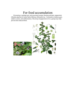 For food accumulation:
   Overeating or garbage gut, and associated cramps, bloating and pain: peppermint
(Mentha piperita) or lemon balm (Melissa officinalis) tea. Carminative (reduces gas),
sedative action, anti-inflammatory. One drop of peppermint oil in a gelcap may help
prevent diet-induced bloat.
 