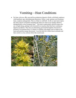 Vomiting—Heat Conditions
For heat, red eyes, dry coat and low production digestive fluids, with body weakness:
with heartburn, gas, and abdominal distension. Pulses: weak: gentian root (Gentiana
lutea, sceptrum, platypetala). This is a bitter or cold herb. As far as most texts report,
the many species of Gentian including the latter two natives are equally effective
therapeutically as the European lutea. 7 This herb is particularly good for dogs who
are so high-strung, perhaps with elevated liver enzymes that they have continuous
digestive problems. They have an alternating good and bad appetite. Research is
primarily on Gentiana lutea. It’s better to combine with ginger root to improve the
taste and send the energy downward. I use this herb for a short time in animals and
then switch to a less extreme bitter like wormwood.
 