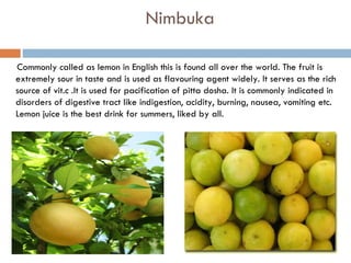 Nimbuka

    Commonly called as lemon in English this is found all over the world. The fruit is
    extremely sour in taste and is used as flavouring agent widely. It serves as the rich
    source of vit.c .It is used for pacification of pitta dosha. It is commonly indicated in
    disorders of digestive tract like indigestion, acidity, burning, nausea, vomiting etc.
    Lemon juice is the best drink for summers, liked by all.
 
 