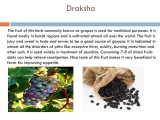 Draksha

 The fruit of this herb commonly known as grapes is used for medicinal purposes. It is
found mostly in humid regions and is cultivated almost all over the world. The fruit is
juicy and sweet in taste and serves to be a good source of glucose. It in indicated in
almost all the disorders of pitta like excessive thirst, acidity, burning micturition and
other such. It is used widely in treatment of jaundice. Consuming 7-8 of dried fruits
daily can help relieve constipation. Nice taste of this fruit makes it very beneficial in
fever for improving appetite.
 