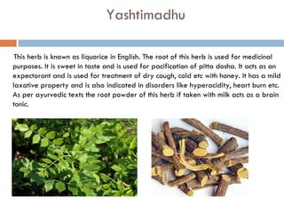 Yashtimadhu

 This herb is known as liquorice in English. The root of this herb is used for medicinal
purposes. It is sweet in taste and is used for pacification of pitta dosha. It acts as an
expectorant and is used for treatment of dry cough, cold etc with honey. It has a mild
laxative property and is also indicated in disorders like hyperacidity, heart burn etc.
As per ayurvedic texts the root powder of this herb if taken with milk acts as a brain
tonic.
 