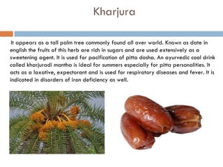 Kharjura

 It appears as a tall palm tree commonly found all over world. Known as date in
english the fruits of this herb are rich in sugars and are used extensively as a
sweetening agent. It is used for pacification of pitta dosha. An ayurvedic cool drink
called kharjuradi mantha is ideal for summers especially for pitta personalities. It
acts as a laxative, expectorant and is used for respiratory diseases and fever. It is
indicated in disorders of iron deficiency as well.
 