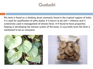 Guduchi

This herb is found as a climbing shrub commonly found in the tropical regions of India.
It is used for pacification of pitta dosha. It is known to be anti – infective and is
extensively used in management of chronic fever. It if found to have properties
helping in developing the immune system of the body. In ayurvedic texts this herb is
mentioned to be as rasayana.
 