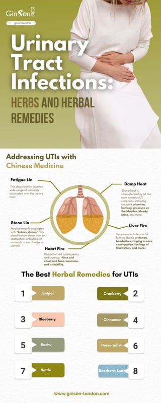 View of Herbs for UTI | PDF