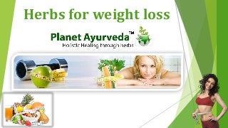 Herbs for weight loss
 