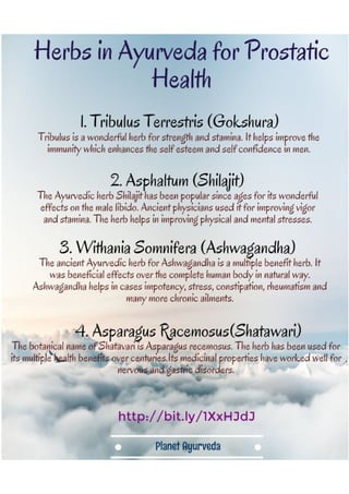 Herbs in ayurveda for prostatic health