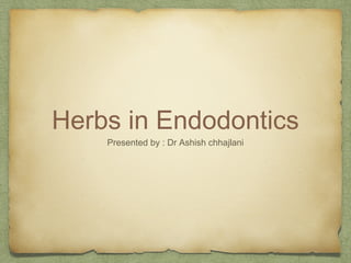 Herbs in Endodontics
Presented by : Dr Ashish chhajlani
 