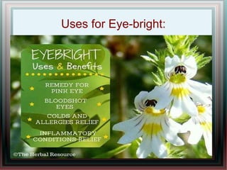 Uses for Eye-bright:
 