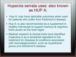Huperzia serrata uses: also known
as HUP A:
● Hup A: may have desirable outcomes when used
for patients who suffer from Parkinson's disease.
● Hup A: is also recommended as a supplement in
healthy individuals to support memory & cognitive
brain power as the brain ages.
● Medical research & clinical trials have identified
huperzine A as a beneficial ingredient in the
treatment for diseases & conditions associated
with neurodegeneration, such as myasthenia
gravis and Alzheimer's disease.
 
