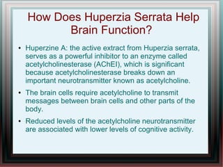 How Does Huperzia Serrata Help
Brain Function?
● Huperzine A: the active extract from Huperzia serrata,
serves as a powerful inhibitor to an enzyme called
acetylcholinesterase (AChEI), which is significant
because acetylcholinesterase breaks down an
important neurotransmitter known as acetylcholine.
● The brain cells require acetylcholine to transmit
messages between brain cells and other parts of the
body.
● Reduced levels of the acetylcholine neurotransmitter
are associated with lower levels of cognitive activity.
 