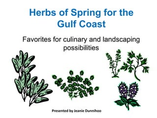 Herbs of Spring for the
       Gulf Coast
Favorites for culinary and landscaping
              possibilities




         Presented by Jeanie Dunnihoo
 