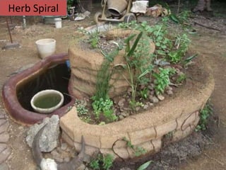 Herb Spiral
 