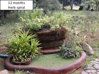 12 months
Herb spiral
 