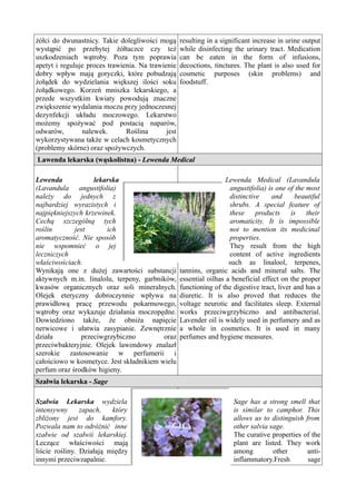 Herbs and aromatic plants