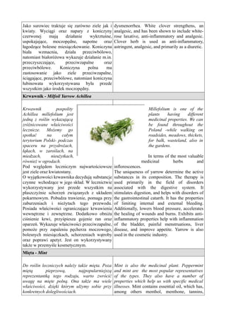 Herbs and aromatic plants