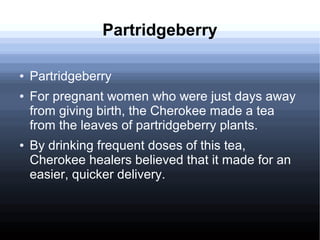 Partridgeberry
● Partridgeberry
● For pregnant women who were just days away
from giving birth, the Cherokee made a tea
from the leaves of partridgeberry plants.
● By drinking frequent doses of this tea,
Cherokee healers believed that it made for an
easier, quicker delivery.
 