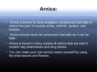 Arnica:
● Arnica is known to have analgesic compounds that help to
relieve the pain of muscle aches, arthritis, sprains, and
bruises.
● Arnica should never be consumed internally as it can be
fatal.
● Arnica is found in many creams & lotions that are sold in
modern day pharmacies and drug stores.
● You can make your own arnica cream yourself by using
the dried leaves and flowers.
 