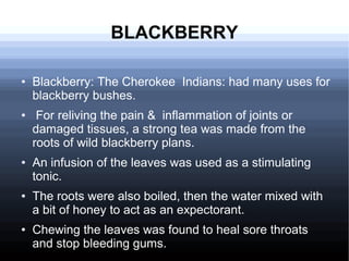 BLACKBERRY
● Blackberry: The Cherokee Indians: had many uses for
blackberry bushes.
● For reliving the pain & inflammation of joints or
damaged tissues, a strong tea was made from the
roots of wild blackberry plans.
● An infusion of the leaves was used as a stimulating
tonic.
● The roots were also boiled, then the water mixed with
a bit of honey to act as an expectorant.
● Chewing the leaves was found to heal sore throats
and stop bleeding gums.
 