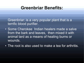 Greenbriar Benefits:
Greenbriar: is a very popular plant that is a
terrific blood purifier.
● Some Cherokee Indian healers made a salve
from the bark and leaves, then mixed it with
animal lard as a means of healing burns or
wounds.
● The root is also used to make a tea for arthritis.
 
