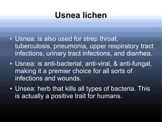 Usnea lichen
● Usnea: is also used for strep throat,
tuberculosis, pneumonia, upper respiratory tract
infections, urinary tract infections, and diarrhea.
● Usnea: is anti-bacterial, anti-viral, & anti-fungal,
making it a premier choice for all sorts of
infections and wounds.
● Unsea: herb that kills all types of bacteria. This
is actually a positive trait for humans.
 