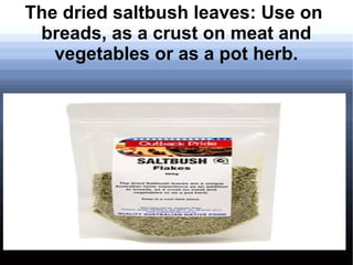 The dried saltbush leaves: Use on
breads, as a crust on meat and
vegetables or as a pot herb.
 