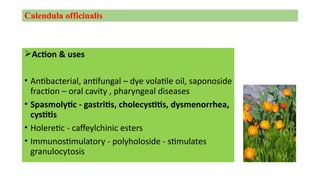 HERBS seminar.pdf