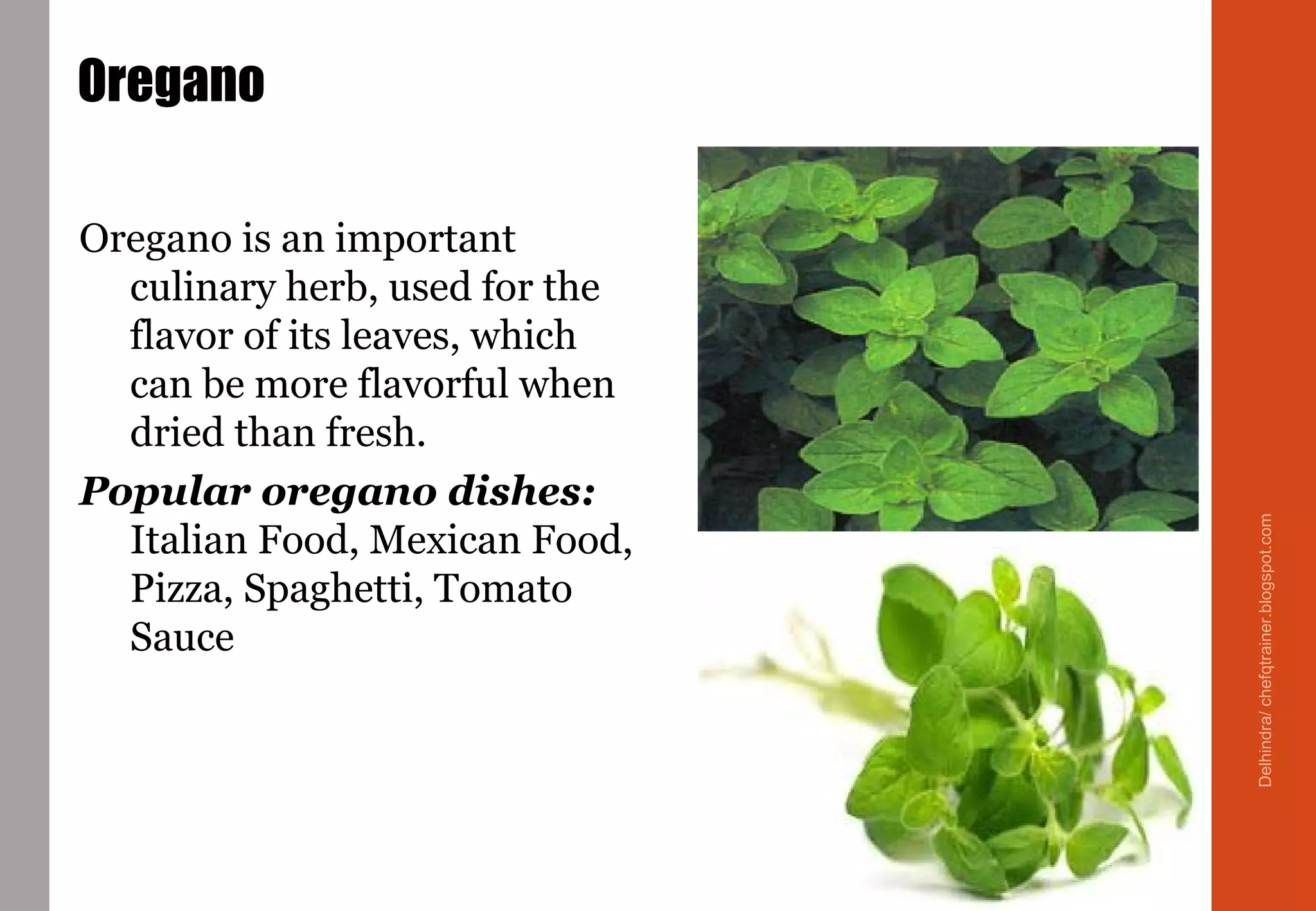 Oregano
Oregano is an important
culinary herb, used for the
flavor of its leaves, which
can be more flavorful when
dried than fresh.
Popular oregano dishes:
Italian Food, Mexican Food,
Pizza, Spaghetti, Tomato
Sauce
Delhindra/chefqtrainer.blogspot.com
 