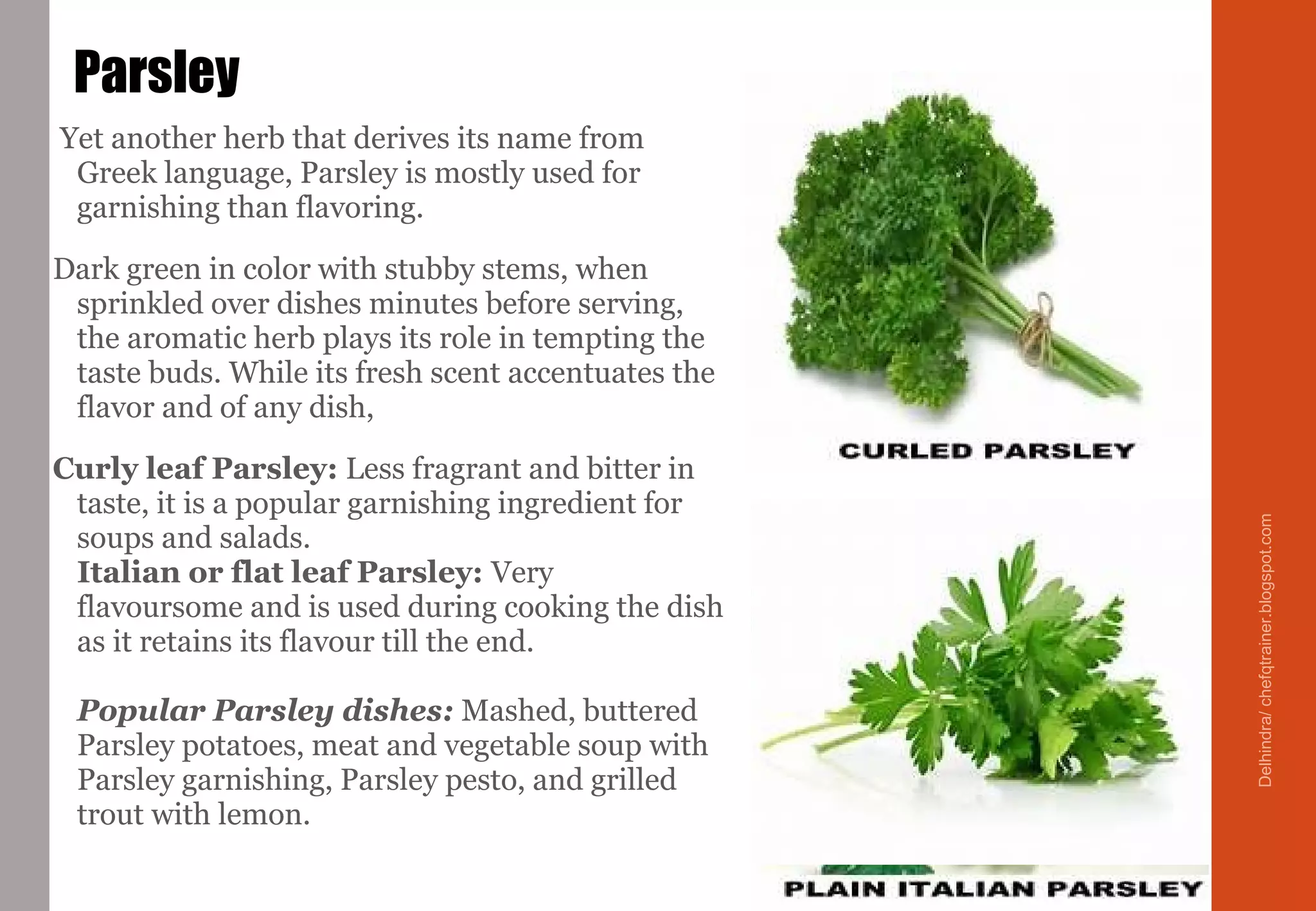 Yet another herb that derives its name from
Greek language, Parsley is mostly used for
garnishing than flavoring.
Dark green in color with stubby stems, when
sprinkled over dishes minutes before serving,
the aromatic herb plays its role in tempting the
taste buds. While its fresh scent accentuates the
flavor and of any dish,
Curly leaf Parsley: Less fragrant and bitter in
taste, it is a popular garnishing ingredient for
soups and salads.
Italian or flat leaf Parsley: Very
flavoursome and is used during cooking the dish
as it retains its flavour till the end.
Popular Parsley dishes: Mashed, buttered
Parsley potatoes, meat and vegetable soup with
Parsley garnishing, Parsley pesto, and grilled
trout with lemon.
Parsley
Delhindra/chefqtrainer.blogspot.com
 