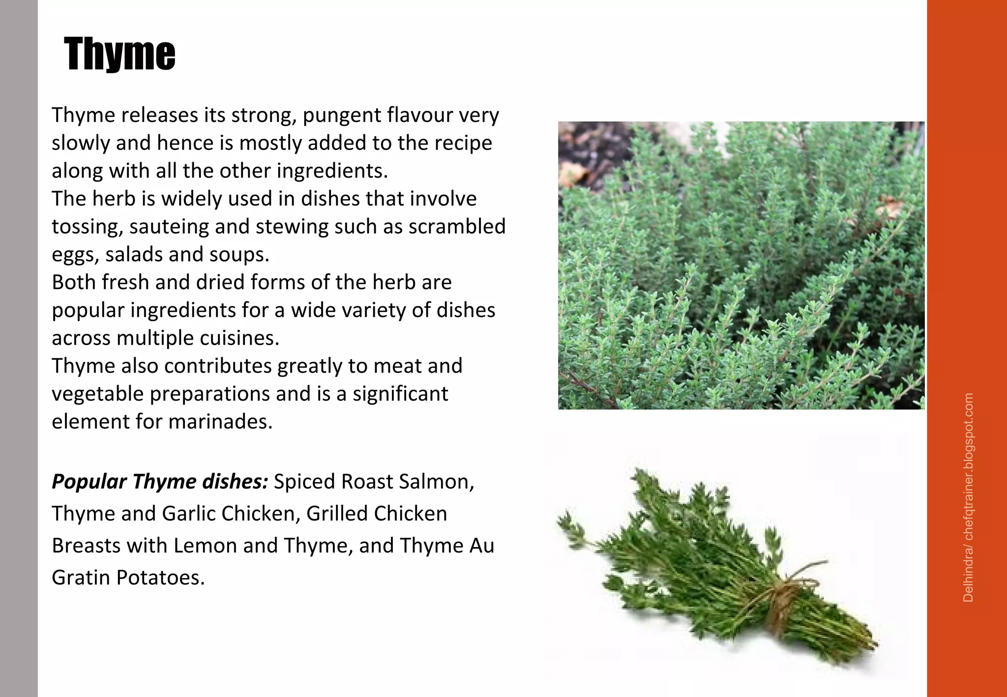 Thyme releases its strong, pungent flavour very
slowly and hence is mostly added to the recipe
along with all the other ingredients.
The herb is widely used in dishes that involve
tossing, sauteing and stewing such as scrambled
eggs, salads and soups.
Both fresh and dried forms of the herb are
popular ingredients for a wide variety of dishes
across multiple cuisines.
Thyme also contributes greatly to meat and
vegetable preparations and is a significant
element for marinades.
Popular Thyme dishes: Spiced Roast Salmon,
Thyme and Garlic Chicken, Grilled Chicken
Breasts with Lemon and Thyme, and Thyme Au
Gratin Potatoes.
Thyme
Delhindra/chefqtrainer.blogspot.com
 